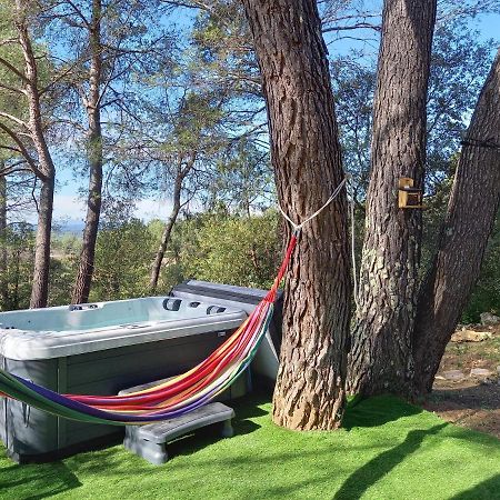 Gite Avec Spa Jacuzzi Au Coeur De Provence Cote D'Azur Saint-Antonin-du-Var Buitenkant foto